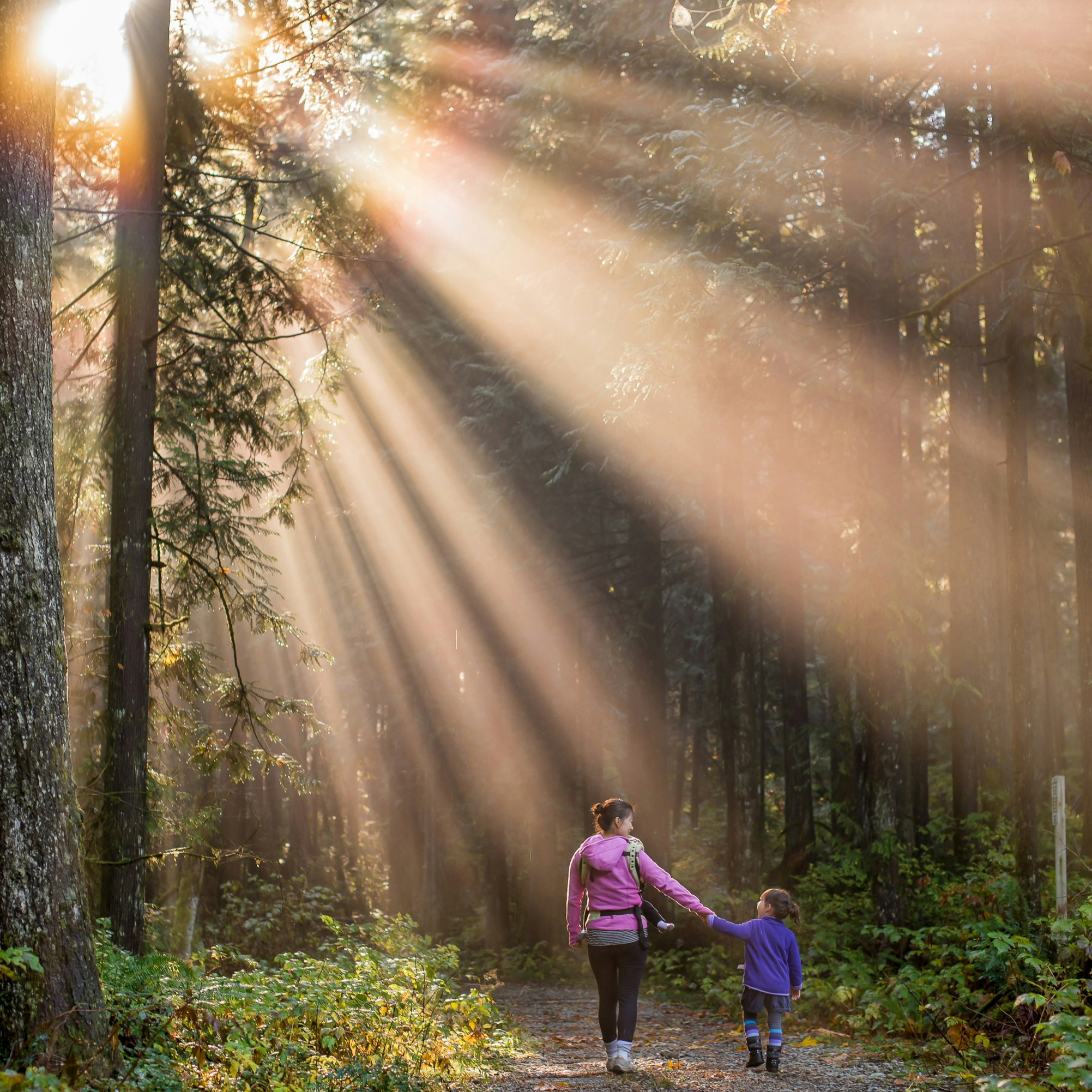 Sun rays beating down on mother and daughter walking in forest