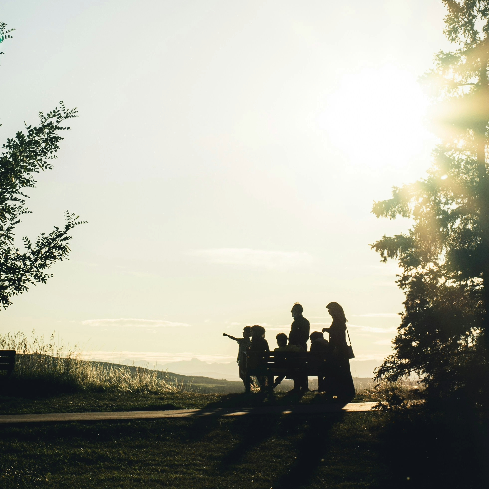 Silhouette of family in nature